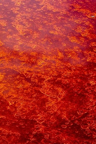 Africa-Tanzania-Aerial view of patterns of red algae and salt formations in shallow salt waters Art Print